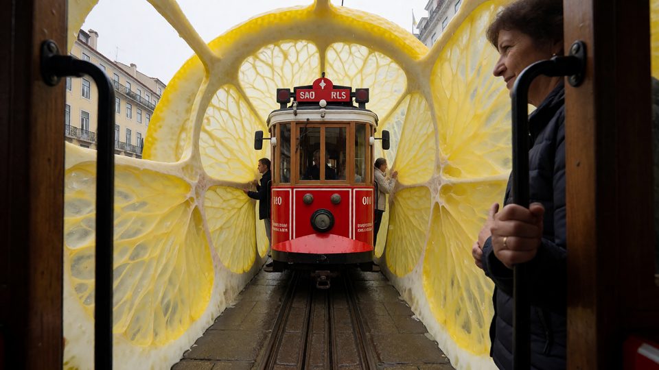 Lemon tram
